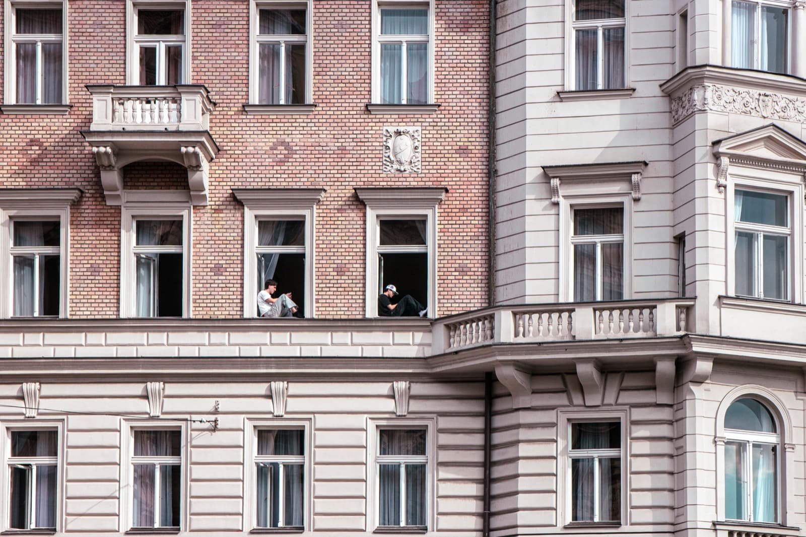 The Window